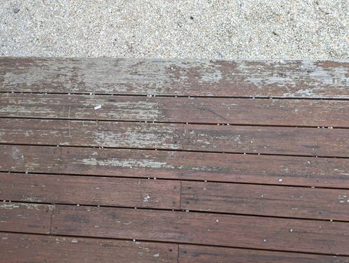 PXL_20230328_045759834.jpg PXL_20230328_045759834.jpg