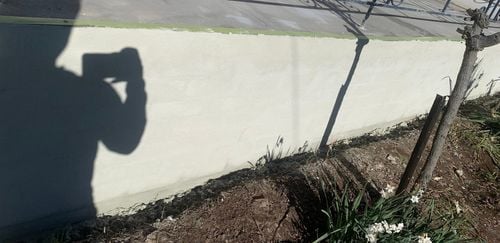 IMG_6080.jpeg IMG_6080.jpeg