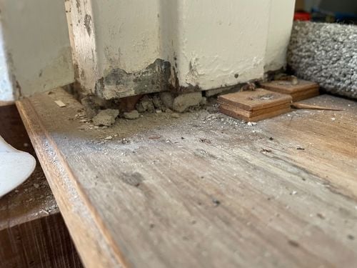 IMG_2926.jpeg IMG_2926.jpeg