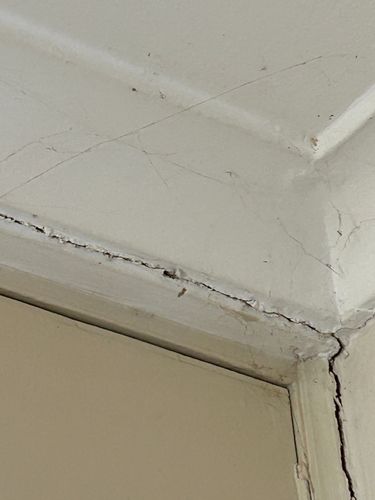 IMG_1020.jpeg IMG_1020.jpeg