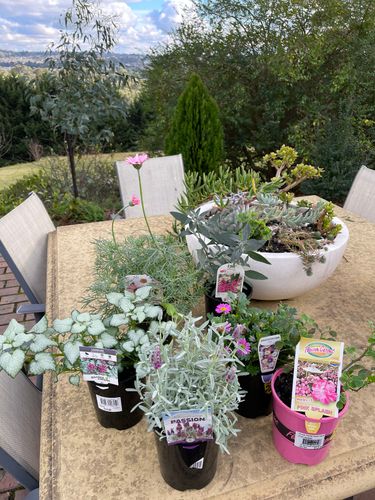 503DFEAB-2799-4934-8720-AF6F2092F807.jpeg 503DFEAB-2799-4934-8720-AF6F2092F807.jpeg