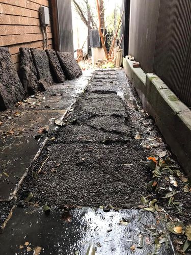 57 03-07-2022.jpg 57 03-07-2022.jpg