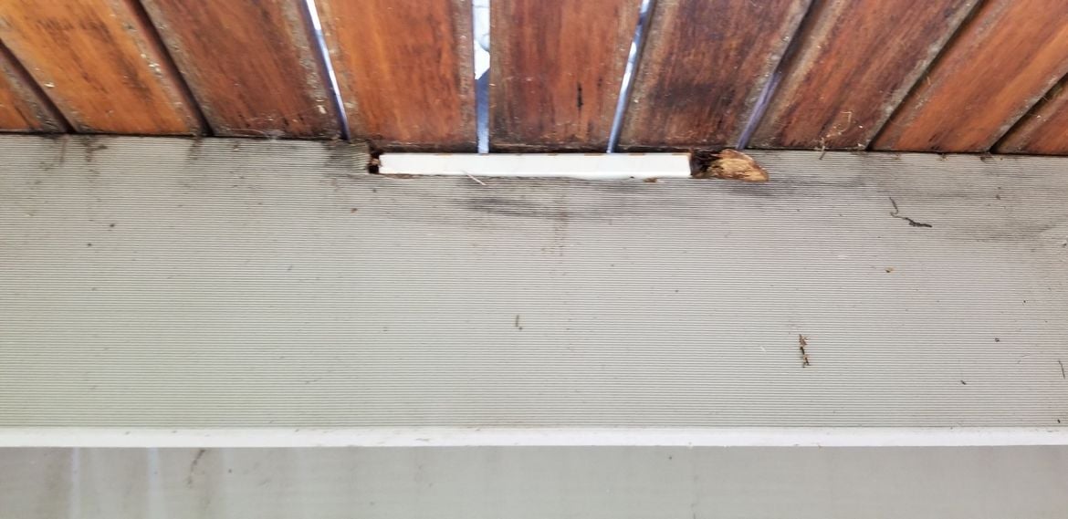 20240418_131234.jpg 20240418_131234.jpg