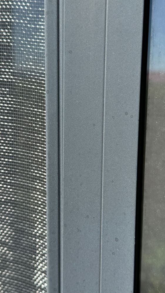 IMG_2951.jpeg IMG_2951.jpeg