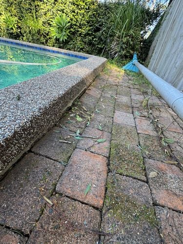 IMG_5776.jpeg IMG_5776.jpeg