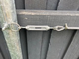 IMG_1972.jpg IMG_1972.jpg