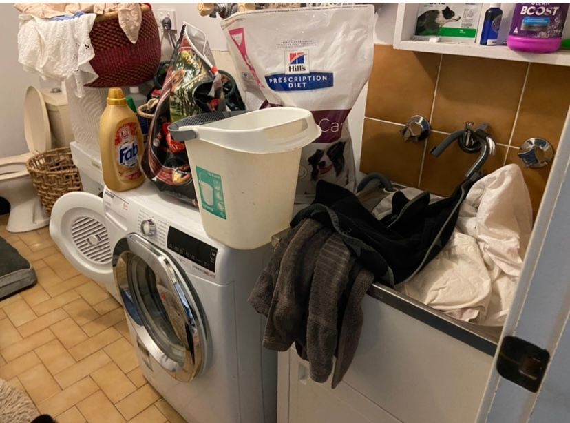 CEAC2F93-8E63-4A3D-BFFB-CCB914345D8F.jpeg CEAC2F93-8E63-4A3D-BFFB-CCB914345D8F.jpeg