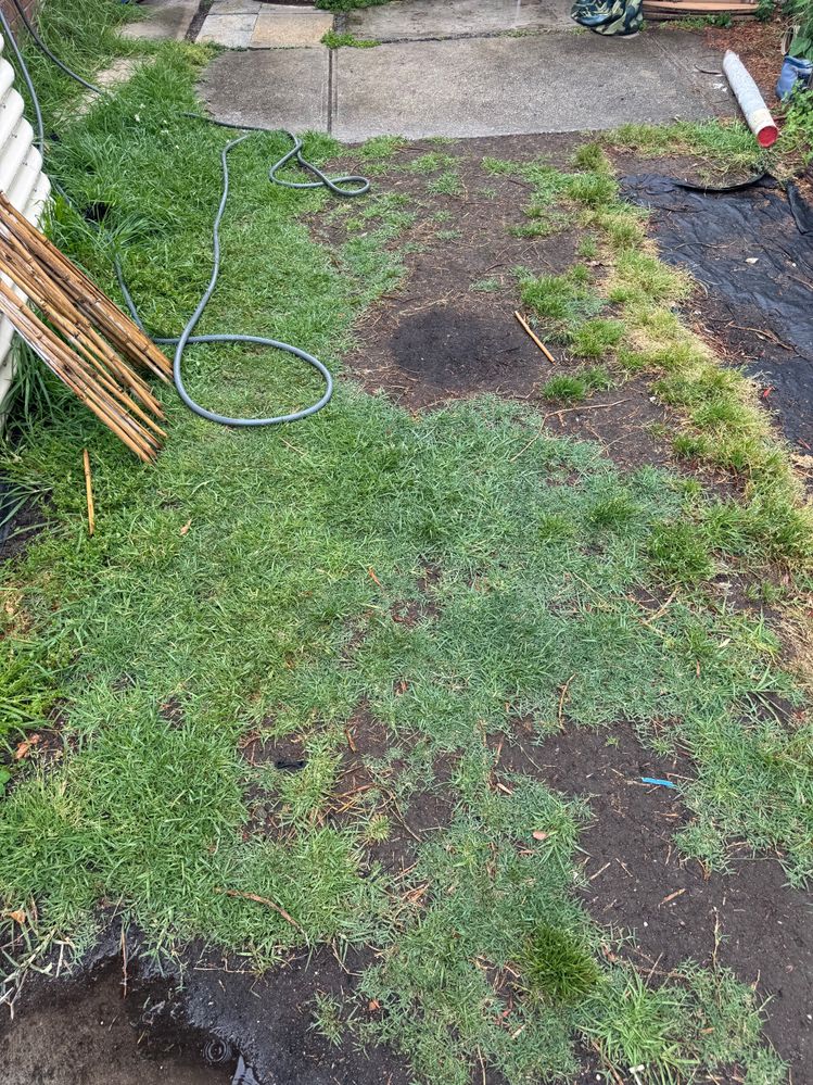 IMG_6069.jpg IMG_6069.jpg