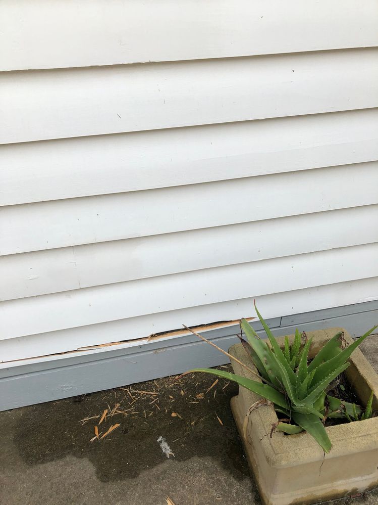 IMG_7905A.JPG IMG_7905A.JPG