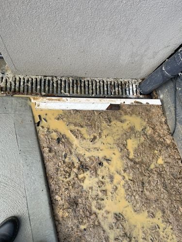 IMG_2381.JPG IMG_2381.JPG