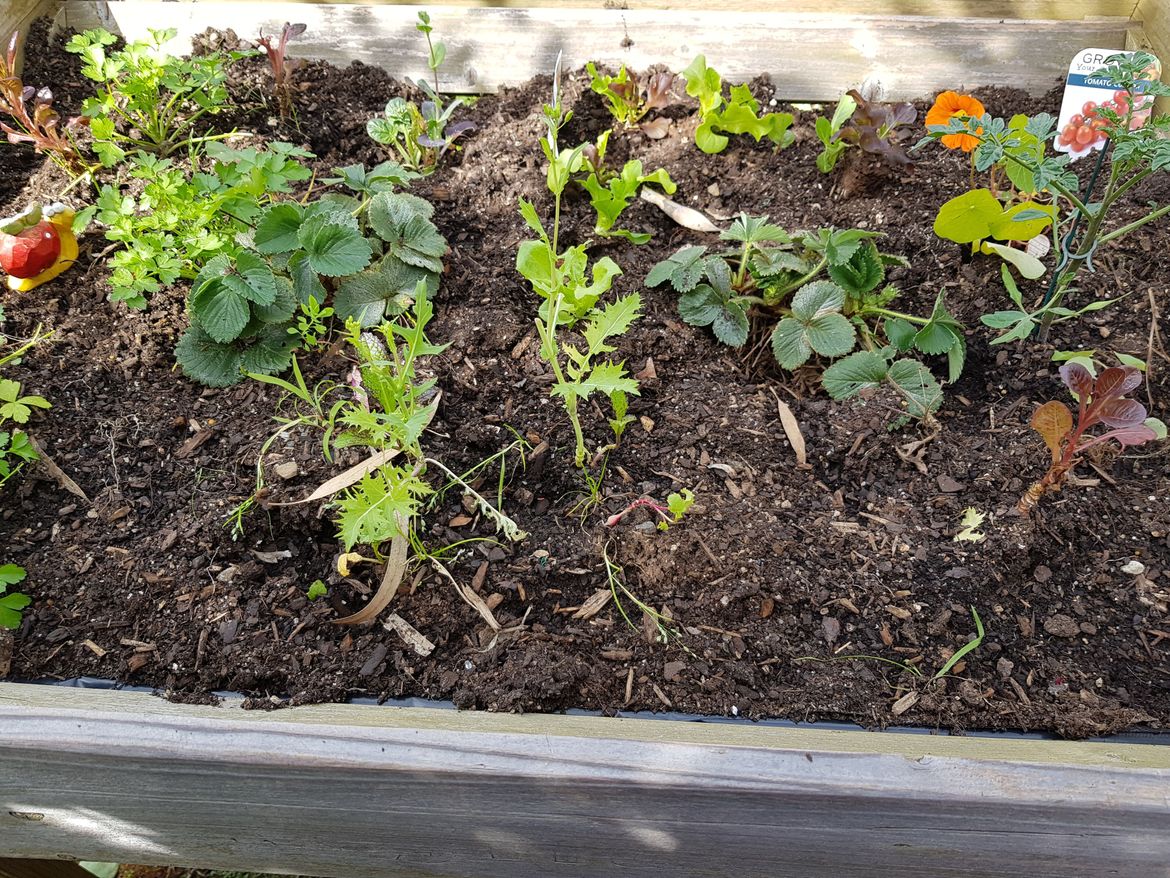 20230914_102219.jpg 20230914_102219.jpg