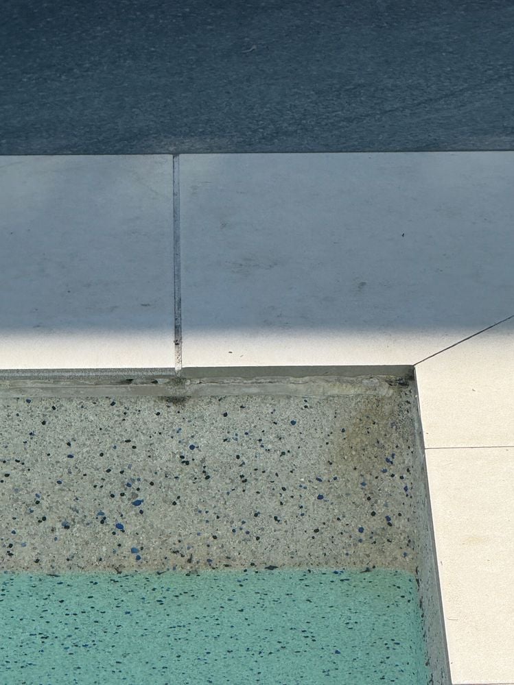 IMG_7952.JPG IMG_7952.JPG