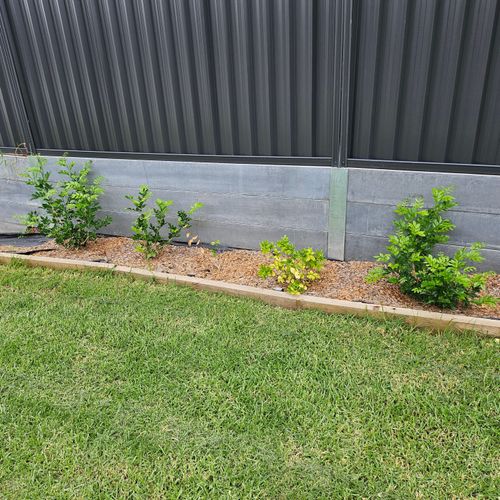 1000060178.jpg 1000060178.jpg