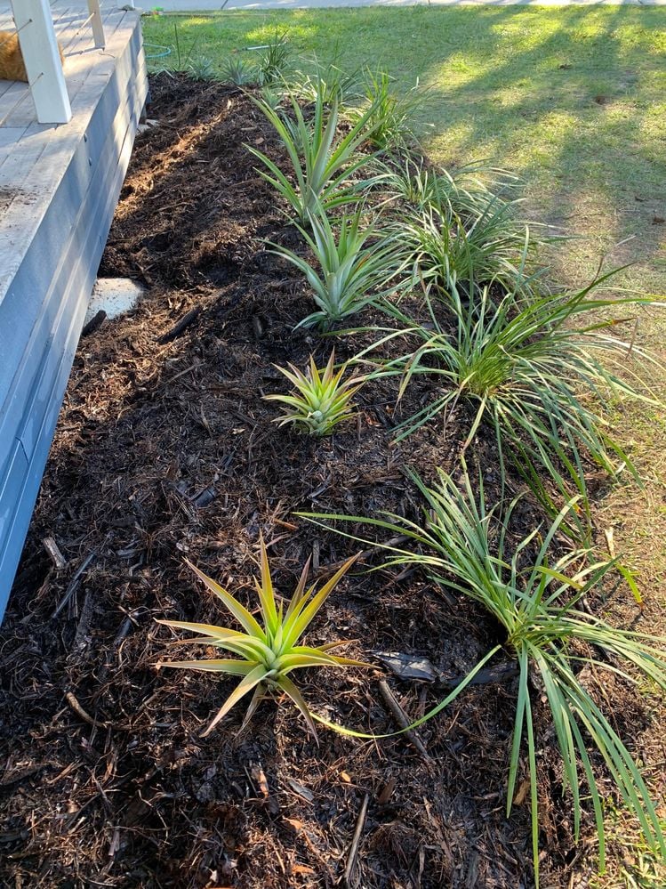 IMG_5994.jpg IMG_5994.jpg