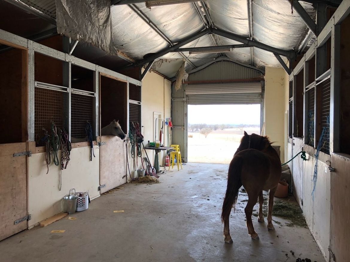 Ceiling.jpg Ceiling.jpg