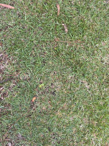 IMG_8633.jpeg IMG_8633.jpeg