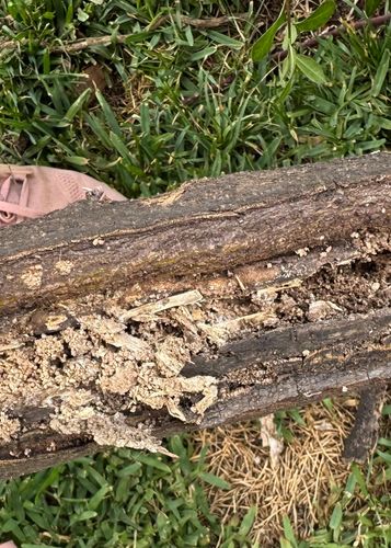 IMG_0930.jpeg IMG_0930.jpeg