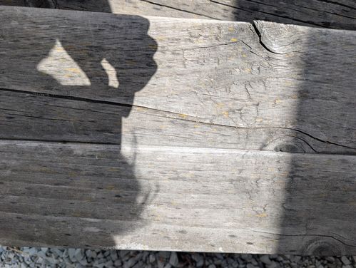 1000004773.jpg 1000004773.jpg