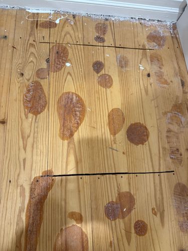 IMG_9370.jpeg IMG_9370.jpeg