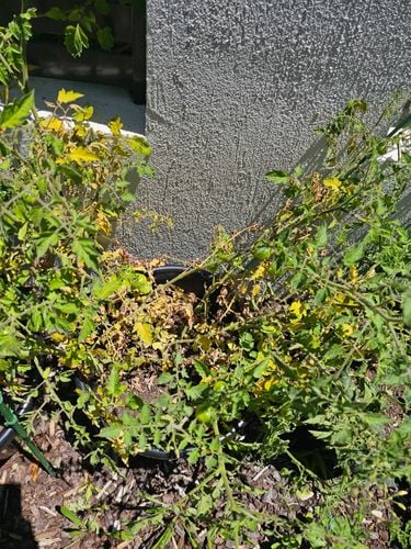 1000110468.jpg 1000110468.jpg