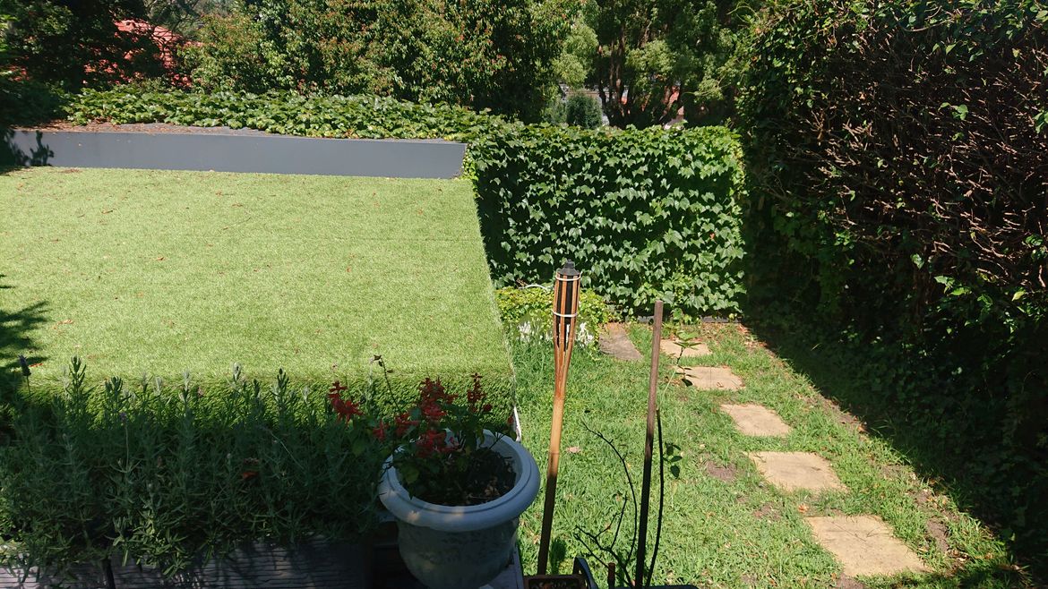 DSC_0044.JPG DSC_0044.JPG