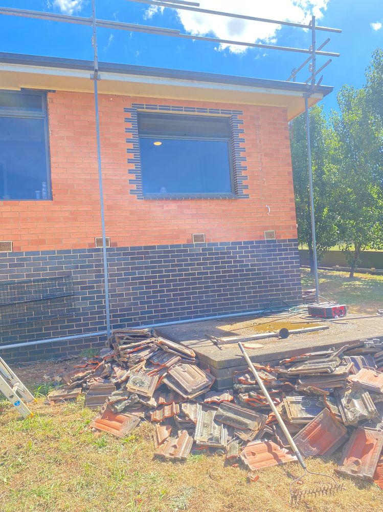 IMG_3351.JPG IMG_3351.JPG