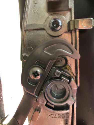 IMG_0915.jpeg IMG_0915.jpeg