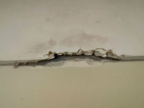 c8702857-1db0-4e5b-a582-f2d387121db8.png c8702857-1db0-4e5b-a582-f2d387121db8.png