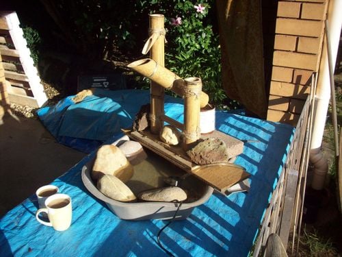 100_4529.JPG 100_4529.JPG