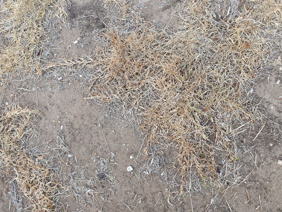 20240510_155320.jpg 20240510_155320.jpg