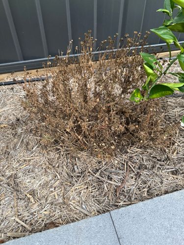 IMG_2608.jpeg IMG_2608.jpeg