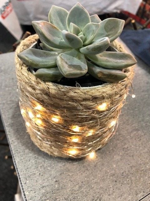 Image 7.jpg Image 7.jpg