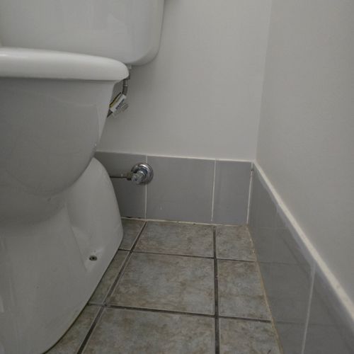 1000045456.jpg 1000045456.jpg