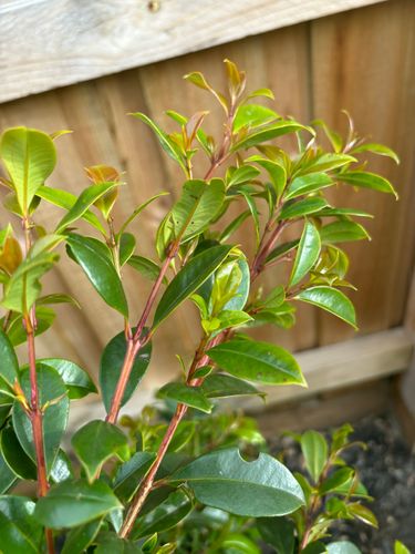 IMG_6047.jpeg IMG_6047.jpeg