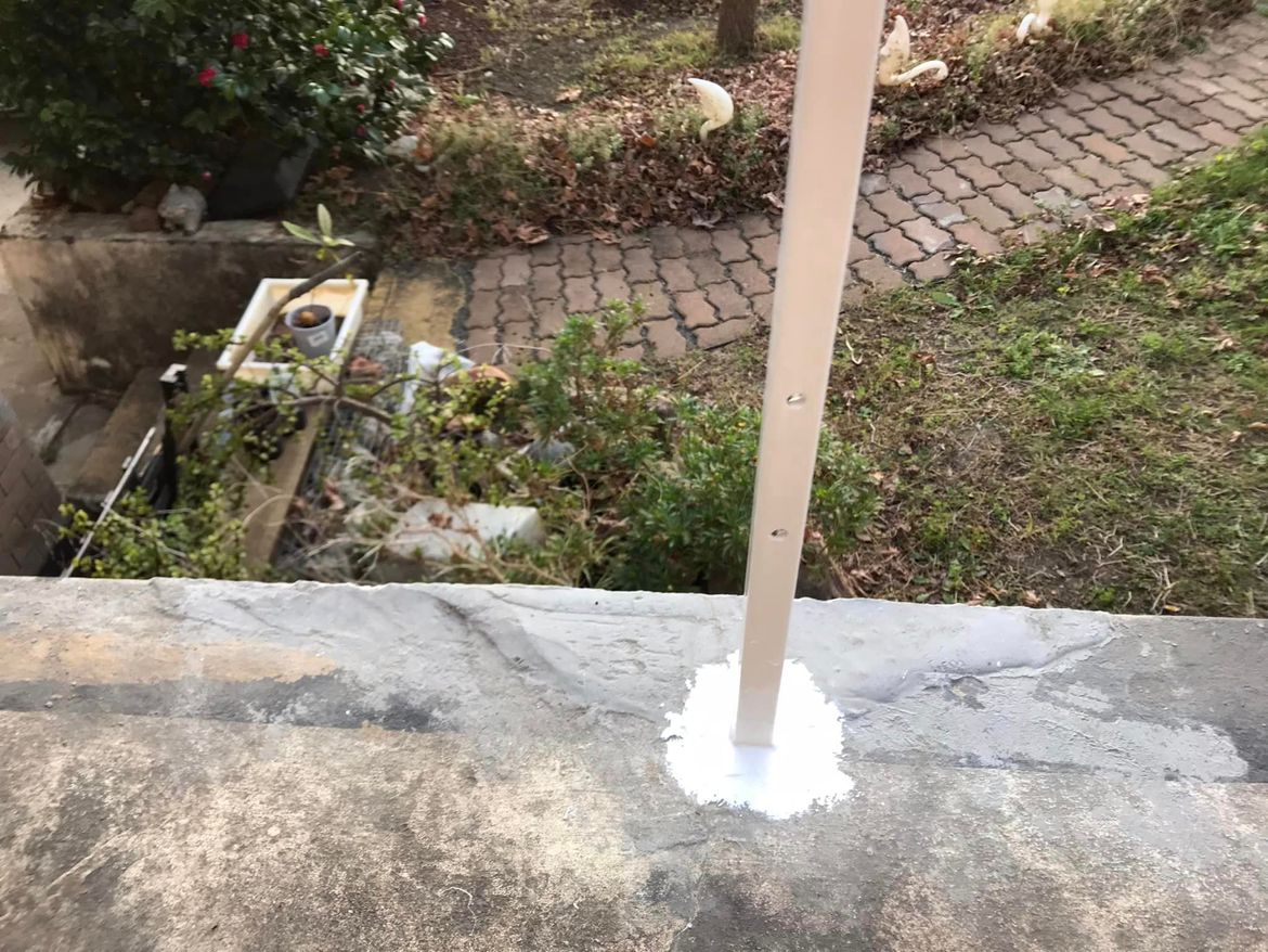 45 18-06-2023.jpg 45 18-06-2023.jpg