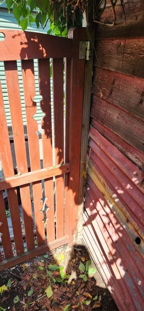 20240109_160648.jpg 20240109_160648.jpg