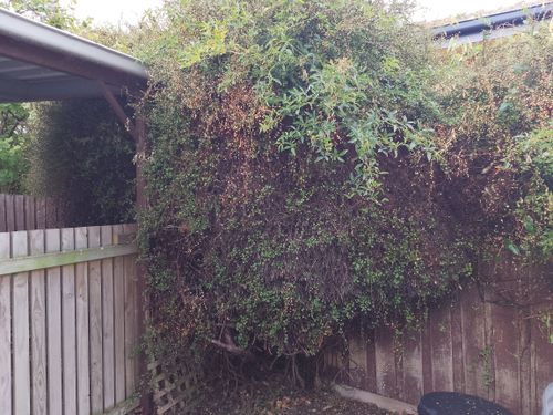 1000004998.jpg 1000004998.jpg