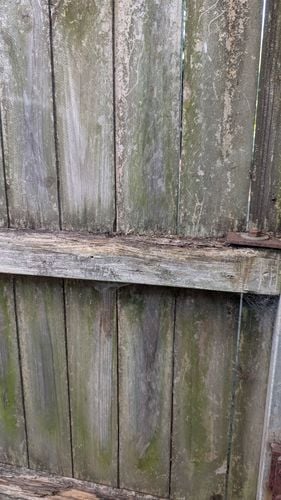 1000006236.jpg 1000006236.jpg