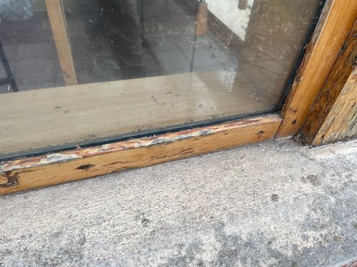 IMG_6840.jpeg IMG_6840.jpeg