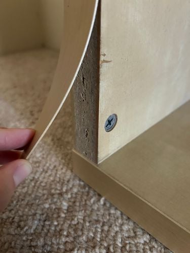 IMG_8365.jpeg IMG_8365.jpeg