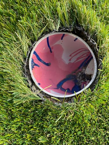 IMG_9350.jpeg IMG_9350.jpeg