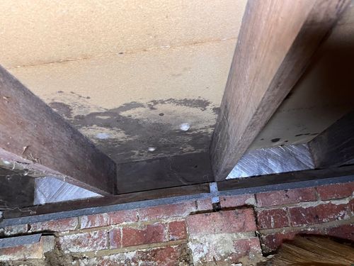 IMG_0027.jpeg IMG_0027.jpeg