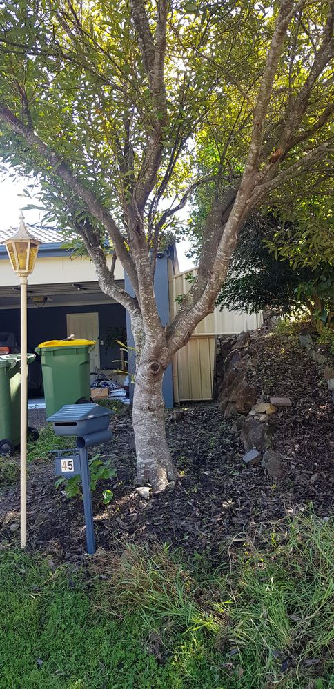 8cc2de8332b36858986d646556ef77f6.jpg 8cc2de8332b36858986d646556ef77f6.jpg