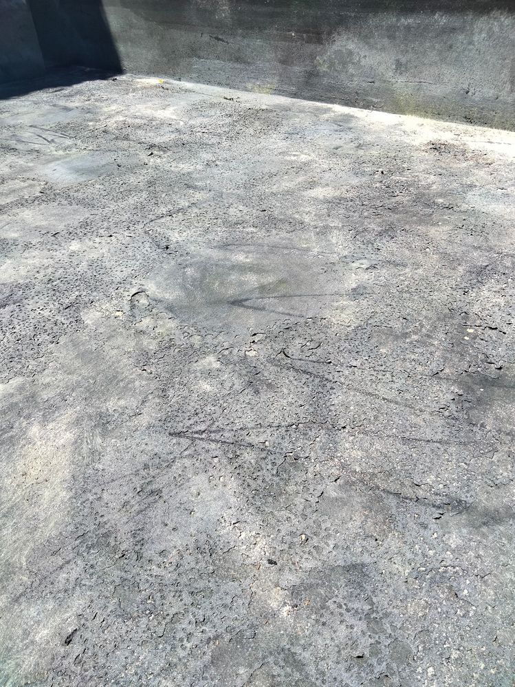 IMG20241028110127.jpg IMG20241028110127.jpg