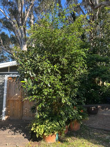 IMG_5214.jpeg IMG_5214.jpeg