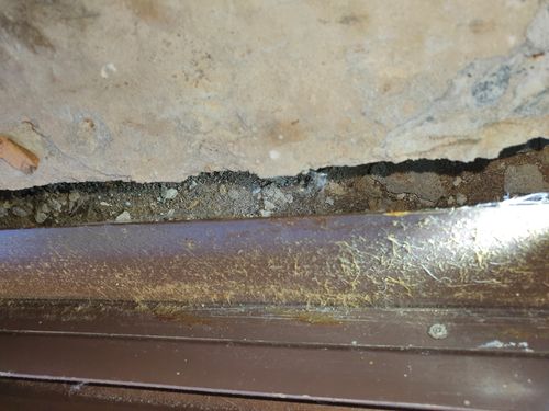 20260110_124919.jpg 20260110_124919.jpg