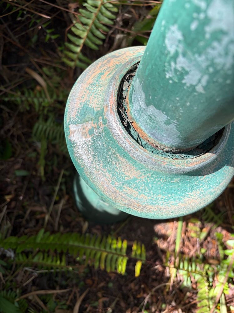 IMG_8386.jpeg IMG_8386.jpeg