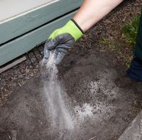 EziWet.jpg EziWet.jpg