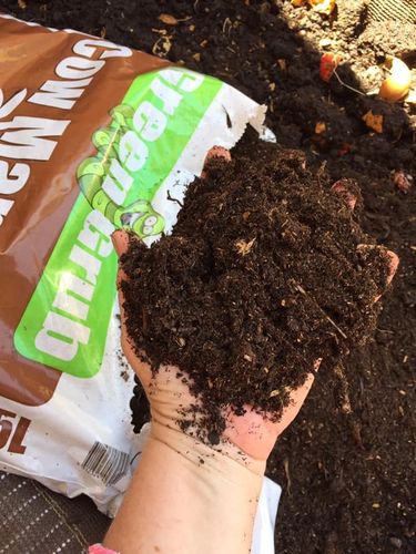 6538CFEA-5FE0-45C2-8885-F657B987A32A.jpeg 6538CFEA-5FE0-45C2-8885-F657B987A32A.jpeg