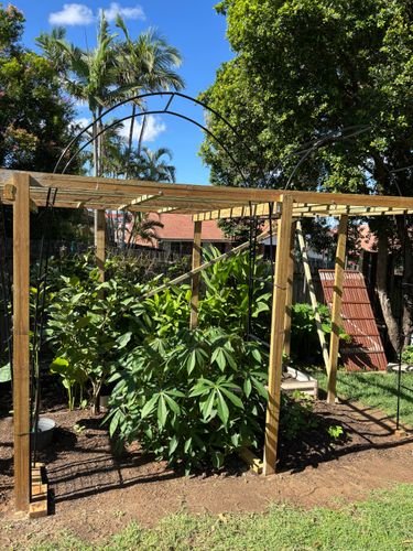 IMG_9262.jpeg IMG_9262.jpeg